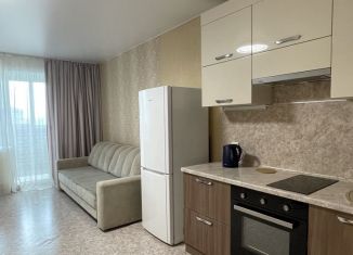 1-ком. квартира в аренду, 55 м2, Алтайский край, улица Димитрова, 130