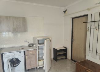 Аренда квартиры студии, 23 м2, Краснодар, Цветочная улица, 619, микрорайон Микрохирургии глаза