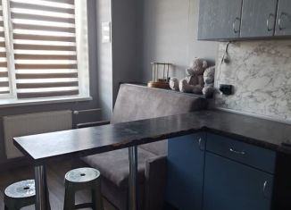 Сдаю однокомнатную квартиру, 42 м2, Петергоф, ЖК Новый Петергоф, Парковая улица, 20