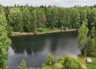 Продам участок, 6.6 сот., деревня Малые Петрищи, деревня Малые Петрищи, 24