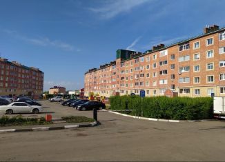 Сдается 1-ком. квартира, 32 м2, село Троицкое, Яснополянский проспект, 1Б