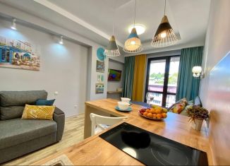 Аренда квартиры студии, 29 м2, Сочи, переулок Горького, 24, ЖК Сокол