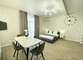 1-ком. квартира в аренду, 31 м2, Анапа, Видная улица, 2