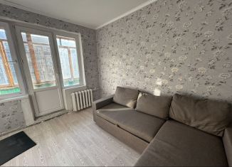 Квартира в аренду студия, 45 м2, Казань, улица Татарстан, 58