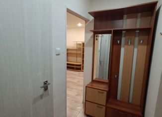 Сдам в аренду однокомнатную квартиру, 32 м2, Йошкар-Ола, проспект Гагарина, 20, микрорайон Вашский