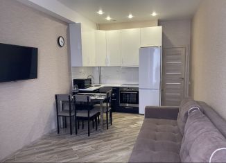 2-комнатная квартира в аренду, 47 м2, Сочи, улица Гастелло, 28к1, микрорайон Голубые Дали