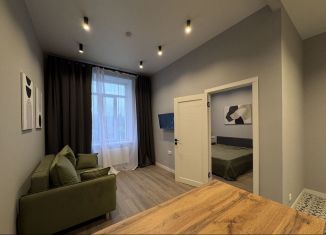 Сдается двухкомнатная квартира, 32 м2, Санкт-Петербург, Октябрьская набережная