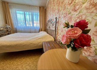 Сдам в аренду 1-комнатную квартиру, 38 м2, Псков, Коммунальная улица, 58А