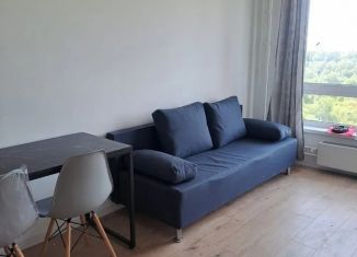 Сдаю в аренду 1-комнатную квартиру, 36 м2, деревня Новое Девяткино, Главная улица, 8