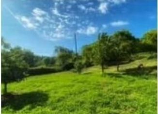 Продаю земельный участок, 4.7 сот., Сочи, микрорайон Центральный, площадь Флага