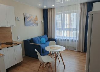 Квартира в аренду студия, 16.5 м2, Великий Новгород, улица Якова Павлова, 11к1, ЖК Ивушки