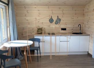 Продам дом, 40 м2, деревня Елань, Береговая улица, 10