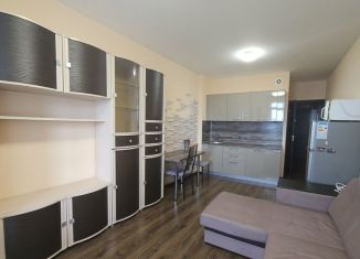 Сдача в аренду квартиры студии, 24.8 м2, Санкт-Петербург, проспект Ветеранов, 171к2, муниципальный округ Сосновая Поляна