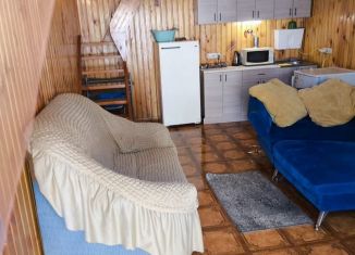 Сдам в аренду таунхаус, 40 м2, Новосибирская область, Бердский тупик, 5/1