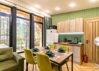 Сдам в аренду дом, 34 м2, посёлок Сяпся, Солнечная улица, 15