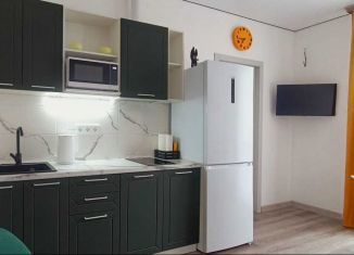 Сдается в аренду однокомнатная квартира, 30 м2, Сочи, улица Искры, 66/9, микрорайон Кудепста