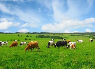 Продам земельный участок, 1500 сот., Тюмень, Центральный округ