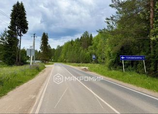 Продается земельный участок, 33 сот., деревня Головизнины