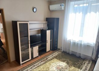 Сдам в аренду однокомнатную квартиру, 30 м2, Краснодар, улица Костылева, 50, микрорайон Центральный