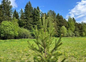 Продается участок, 8 сот., деревня Бабаиха, деревня Бабаиха, 677