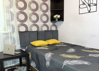 Сдается однокомнатная квартира, 19 м2, Долгопрудный, улица Лизы Чайкиной, 14/15