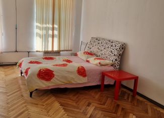 Комната в аренду, 27 м2, Санкт-Петербург, Казанская улица, 8-10, Центральный район