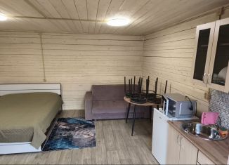 Сдается в аренду дом, 27 м2, село Чемал, улица Строителей, 34