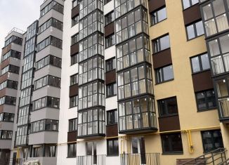 Продажа 1-комнатной квартиры, 46.8 м2, деревня Дерябиха, деревня Дерябиха, 82