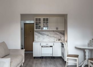 Продается квартира студия, 23.6 м2, Санкт-Петербург, муниципальный округ Новоизмайловское, Варшавская улица, 19к2