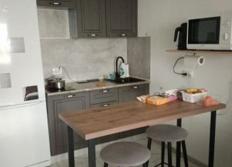 Аренда квартиры студии, 24.5 м2, Санкт-Петербург, проспект Будённого, 23к6, муниципальный округ Сосновая Поляна