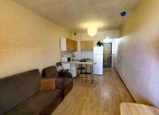 Сдаю в аренду квартиру студию, 26 м2, Томск, Большая Подгорная улица, 87блок7, ЖК Большая Подгорная