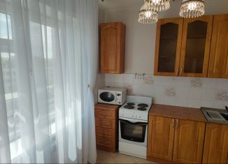 Сдам 1-ком. квартиру, 40 м2, Новосибирск, Ельцовская улица, 39