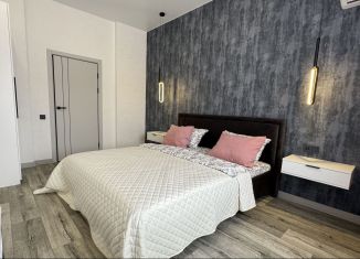 Сдам однокомнатную квартиру, 55 м2, Хабаровск, улица Павловича, 11А/2