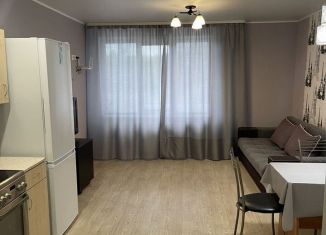 1-комнатная квартира в аренду, 47 м2, Оренбургская область, улица Ямашева, 8