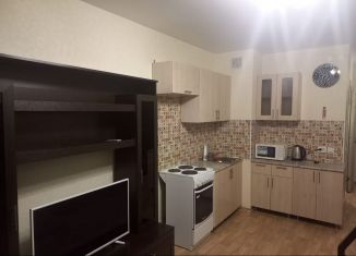 Продам квартиру студию, 23.6 м2, Нижний Новгород, метро Горьковская, улица Героя Жидкова, 2