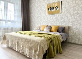 Сдаю 1-комнатную квартиру, 46 м2, Великий Новгород, ЖК Ивушки, улица Якова Павлова, 13