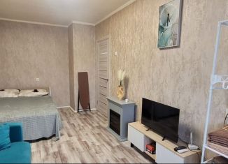 Сдается в аренду 1-ком. квартира, 30 м2, Новгородская область, Предтеченская улица, 14к1