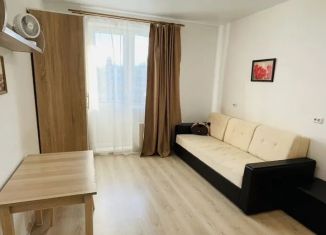 Продажа квартиры студии, 23 м2, Санкт-Петербург, метро Озерки, Парашютная улица, 44к1