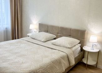 Сдам однокомнатную квартиру, 30 м2, Псков, Народная улица, 25