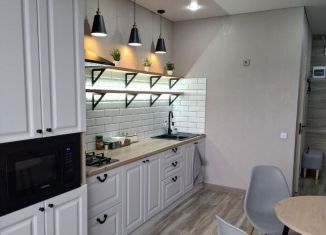 Сдается в аренду 1-комнатная квартира, 35 м2, Павловск, микрорайон Южный, 10