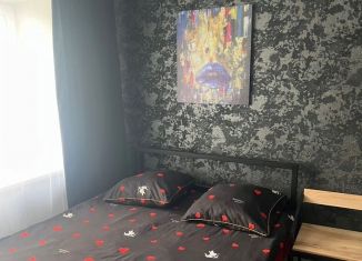 Сдается квартира студия, 20 м2, Курганская область, улица Пичугина, 6