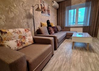 Сдается однокомнатная квартира, 38 м2, Псков, Ольгинская набережная, 5А