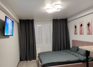 Аренда квартиры студии, 23.4 м2, Удмуртия, улица А.Н. Сабурова, 17