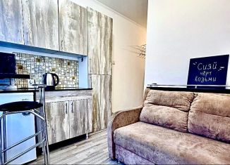 Сдается в аренду квартира студия, 14 м2, Томск, Смоленский переулок, 31