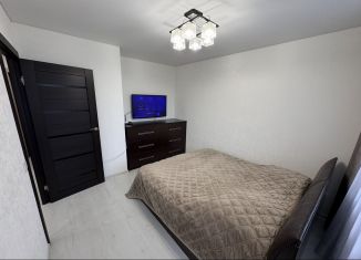 1-комнатная квартира в аренду, 40 м2, Карелия, Чистая улица