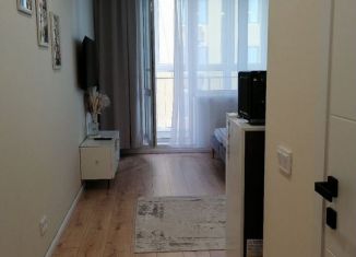 Сдам в аренду квартиру студию, 30 м2, Республика Башкортостан, Яркий бульвар, 8/1