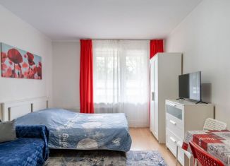 Квартира на продажу студия, 24.5 м2, Санкт-Петербург, проспект Энергетиков, 9к6, метро Ладожская