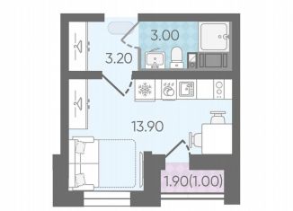 Продаю квартиру студию, 21.1 м2, Санкт-Петербург, Муринская дорога, 8к1