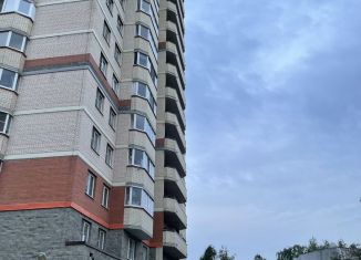Продаю 1-комнатную квартиру, 39.6 м2, Санкт-Петербург, метро Выборгская, проспект Металлистов, 117