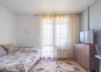 Продается квартира студия, 23 м2, Санкт-Петербург, улица Фёдора Котанова, 13к1, ЖК Светлый Мир Жизнь